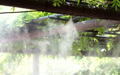 Coolzone Misting Systems Can Benefit Any Business In Any Industry